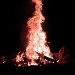 Meet your Posher, Philip